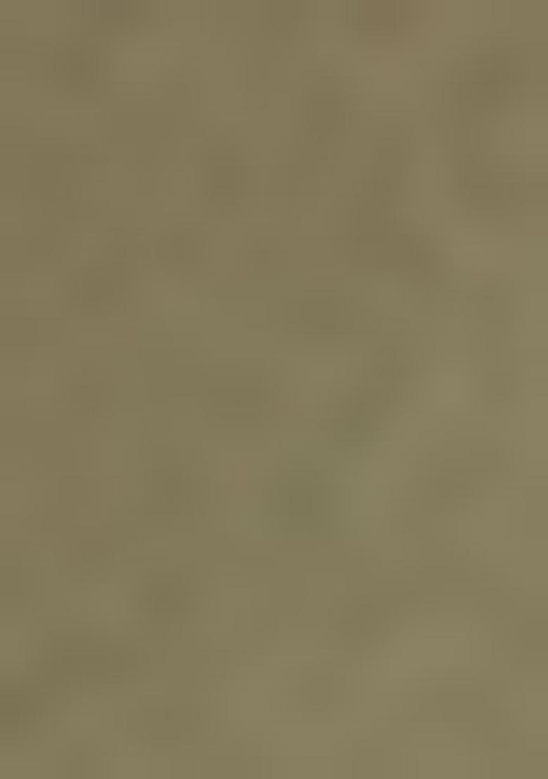 Pista Green Zari Woven Silk Saree Set