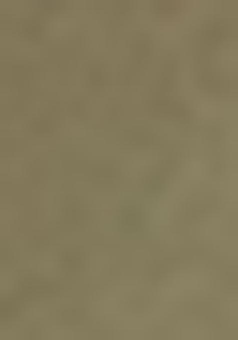 Pista Green Zari Woven Silk Saree Set