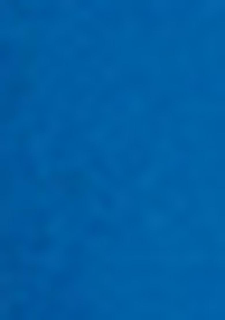 Blue Zari Woven Silk Saree Set