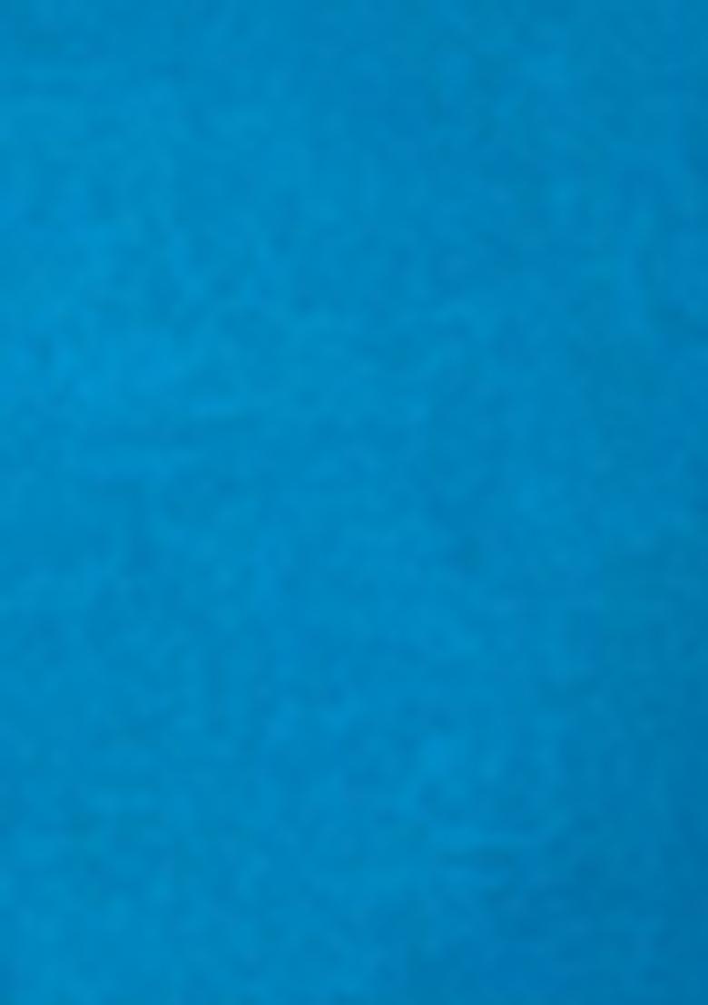 Blue Zari Woven Silk Saree Set