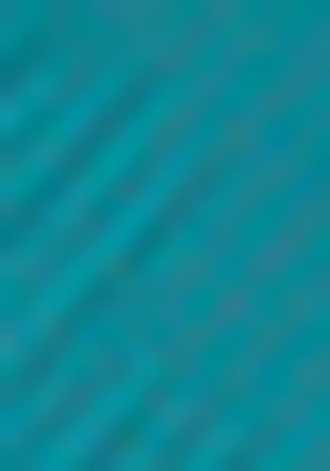 Multicolor Zari Woven Silk Saree Set