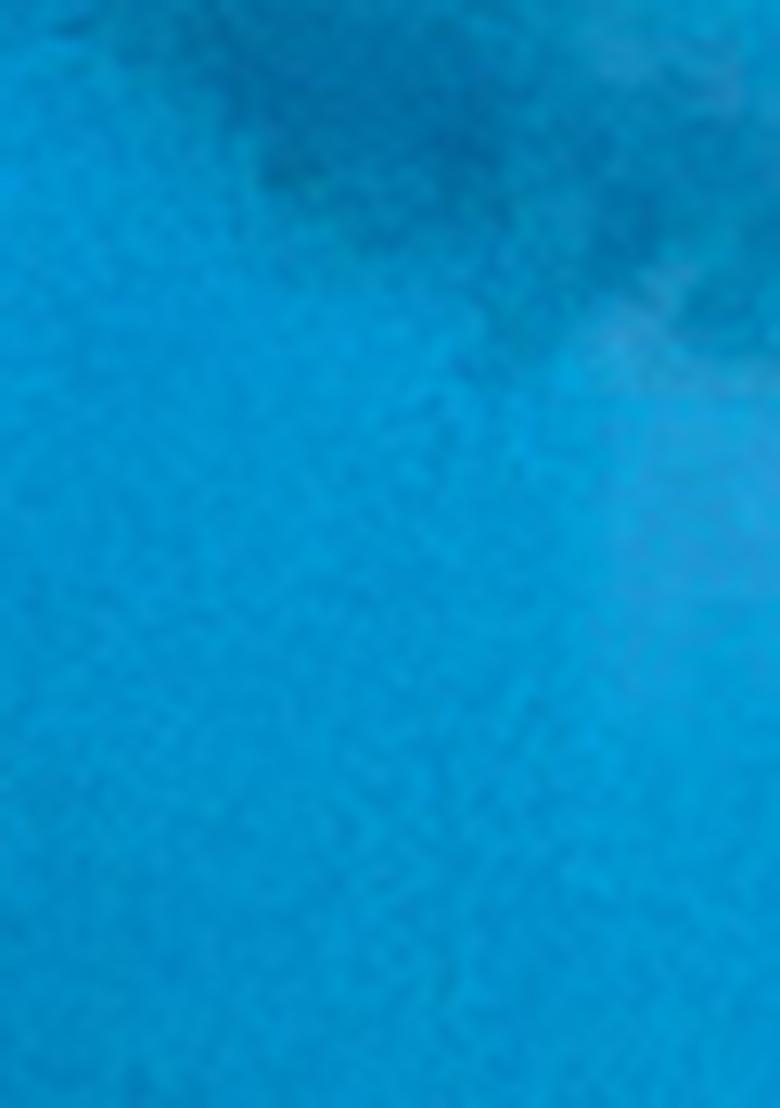 Blue Zari Woven Silk Saree Set