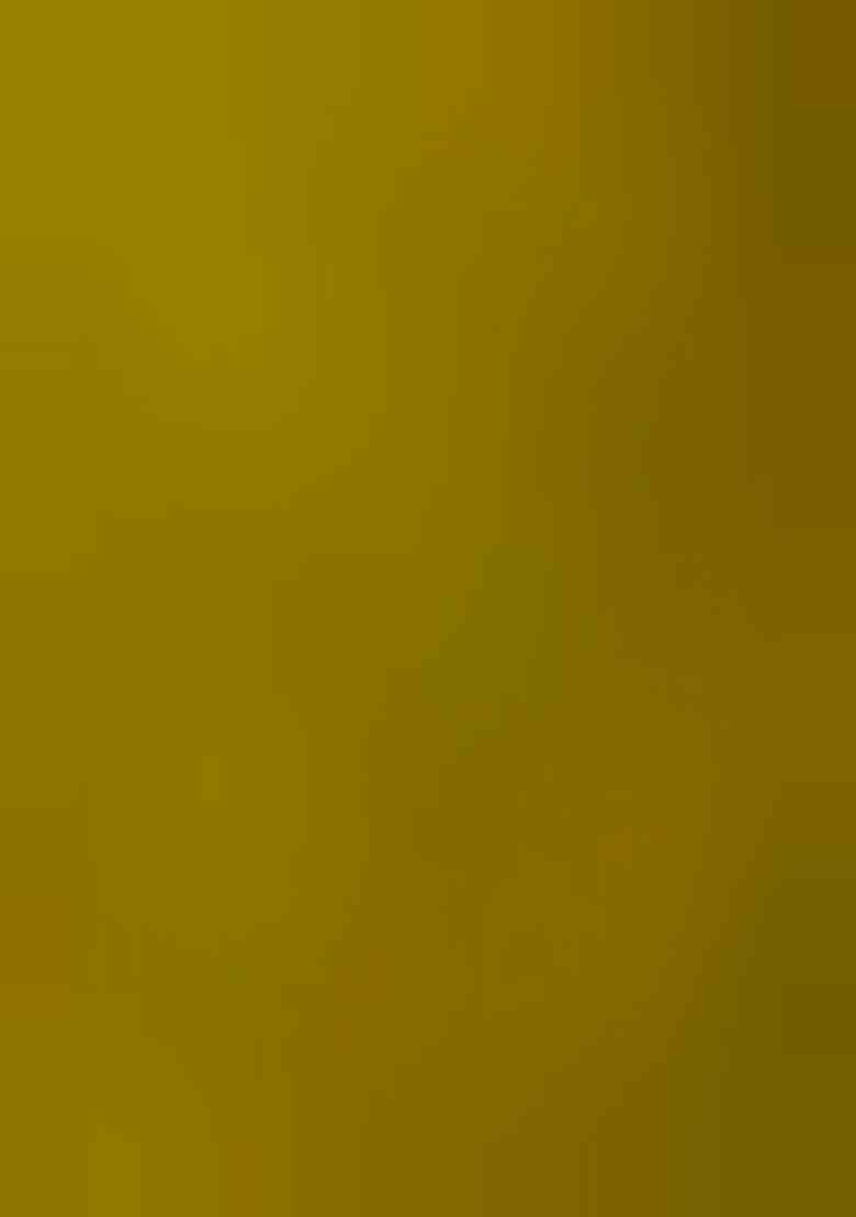 Olive Green Weaving Silk Saree Set