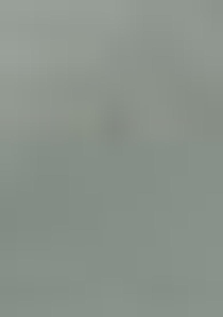 Grey Floral Print Satin Sarees