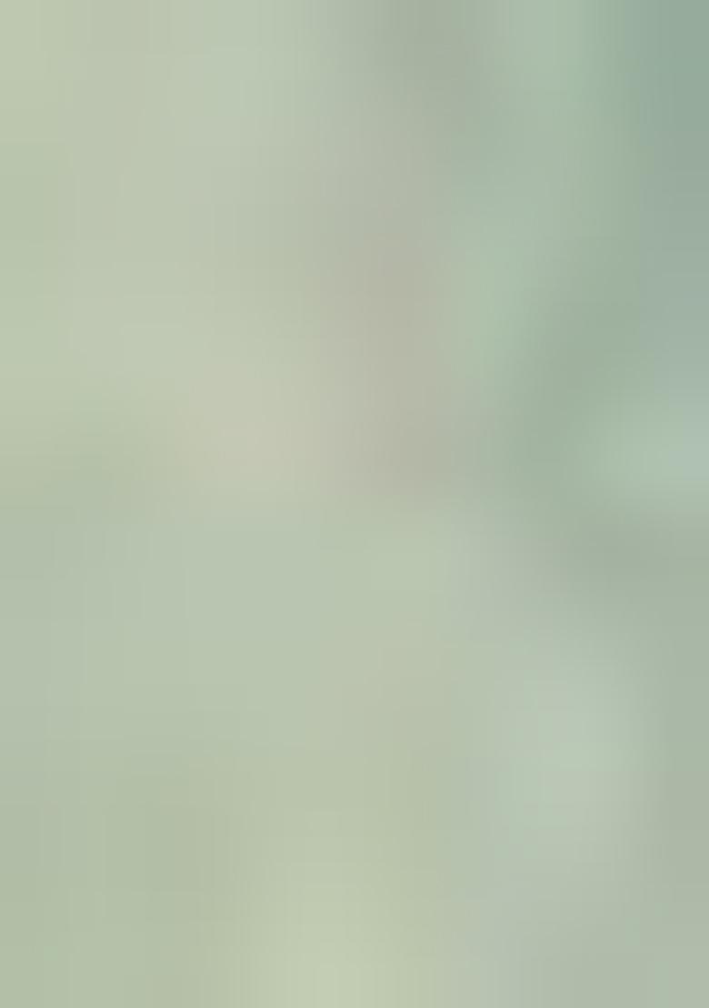 Multicolour Zari Weaving Satin Sarees