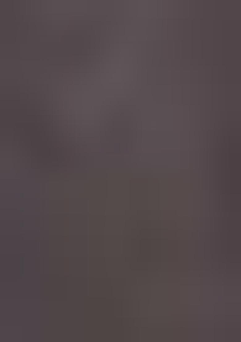 Grey Printed Patola Sarees