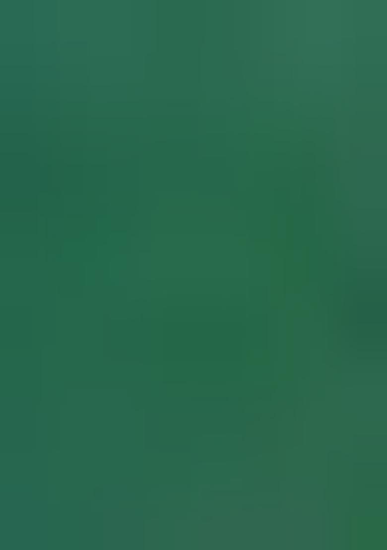 Green Printed Patola Sarees