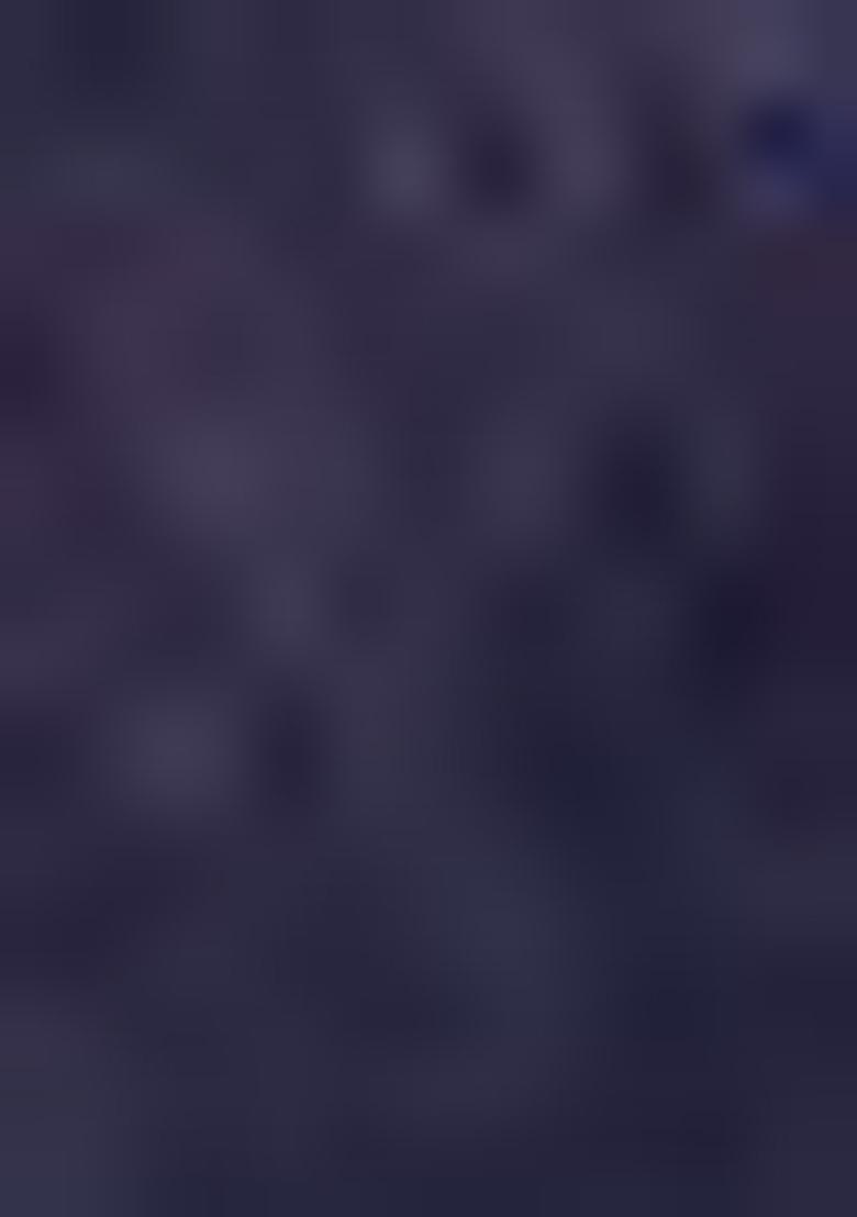 Navy Blue Printed Patola Sarees