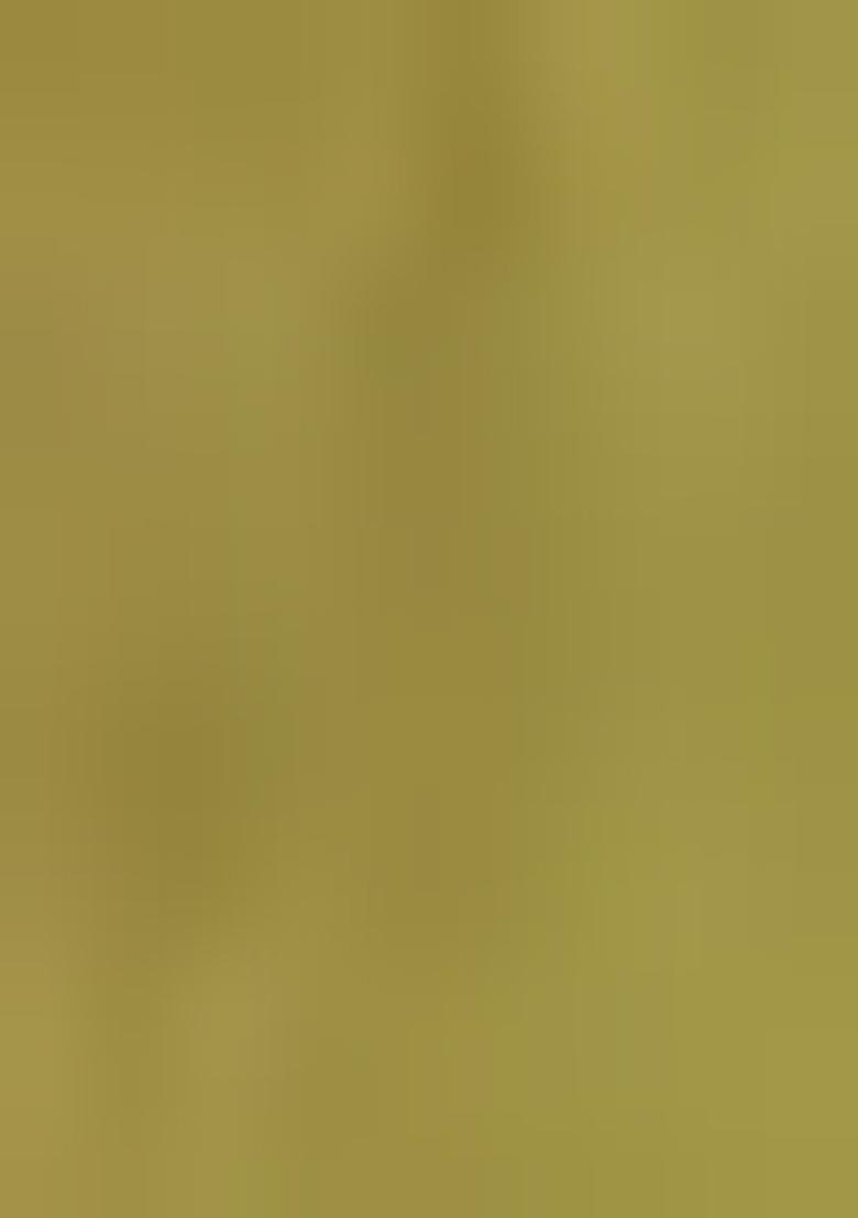 Green Printed Patola Sarees