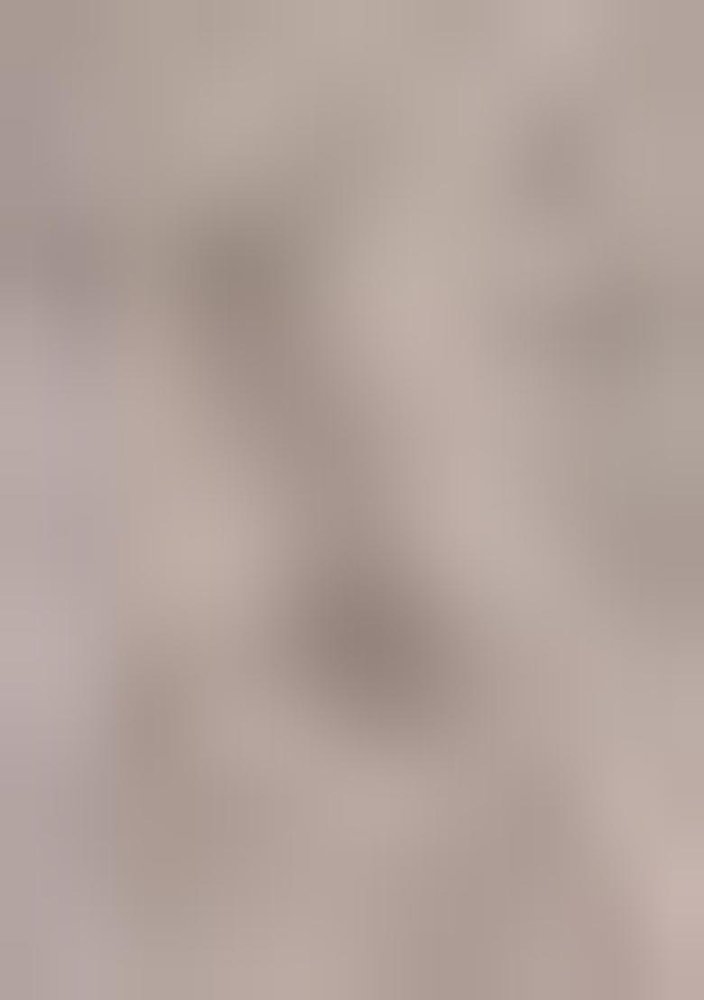 Grey Floral Print Banarasi Silk  Sarees