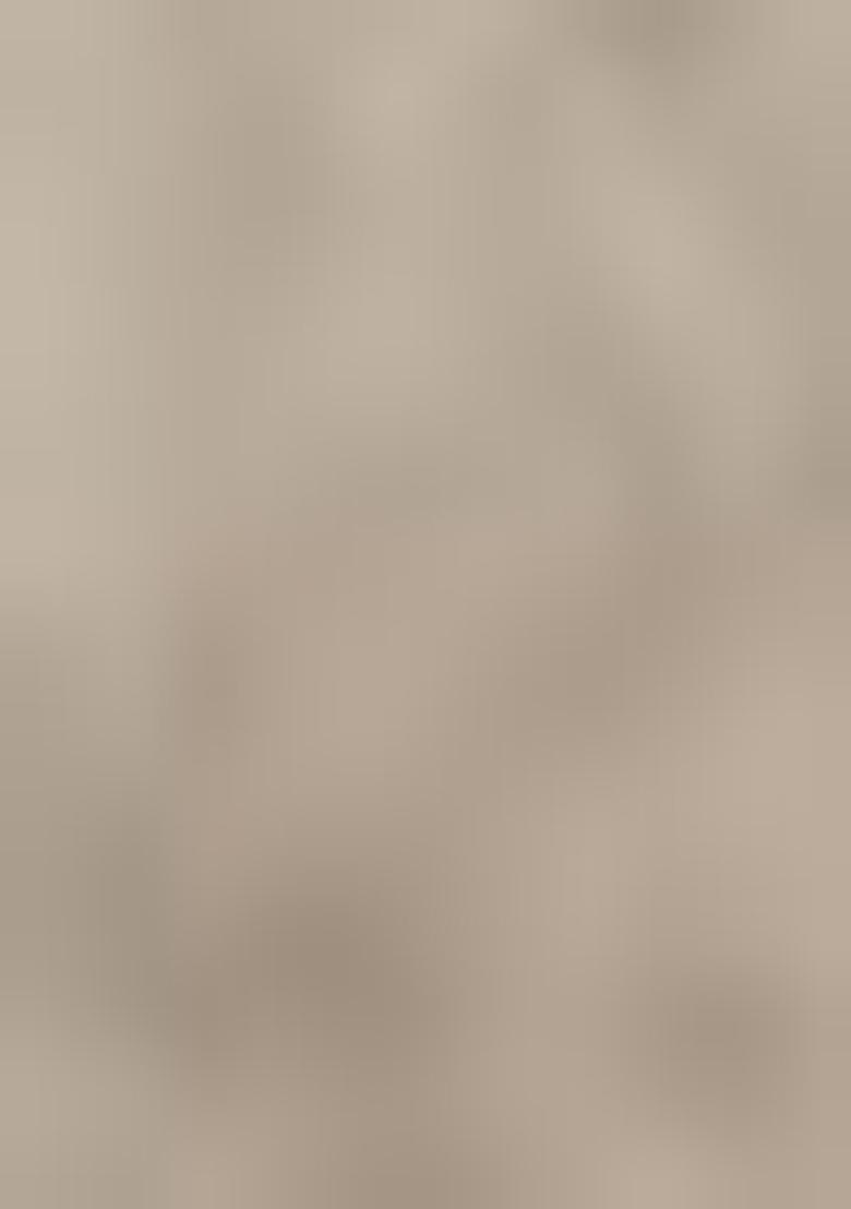 Grey Digital Print Banarasi Silk  Sarees