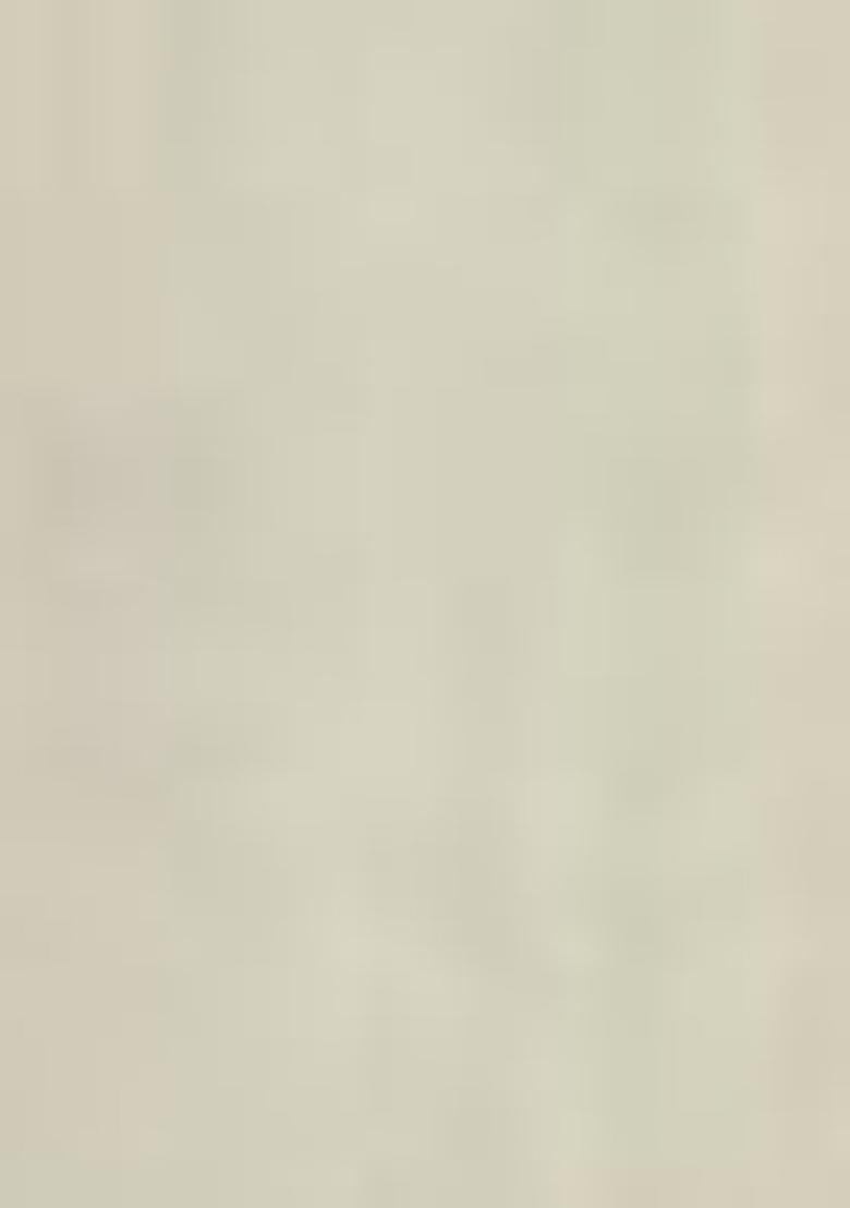 Beige Weaving Cotton Sarees