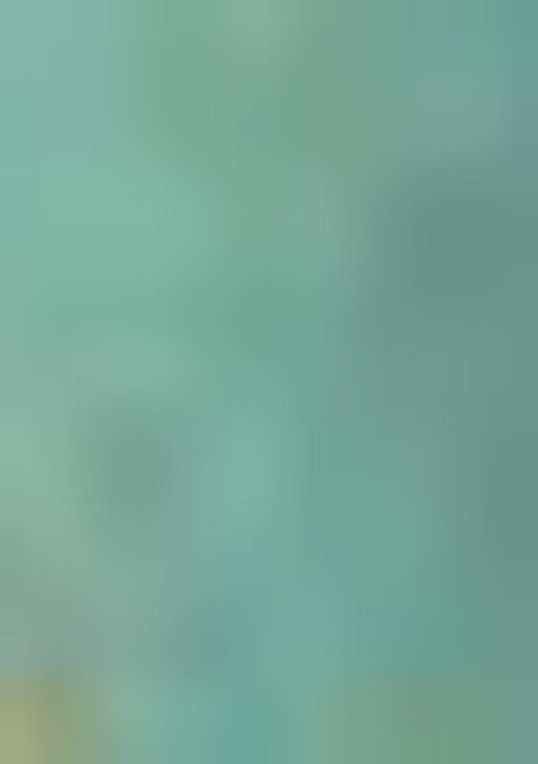 Multicolour Printed Silk Sarees