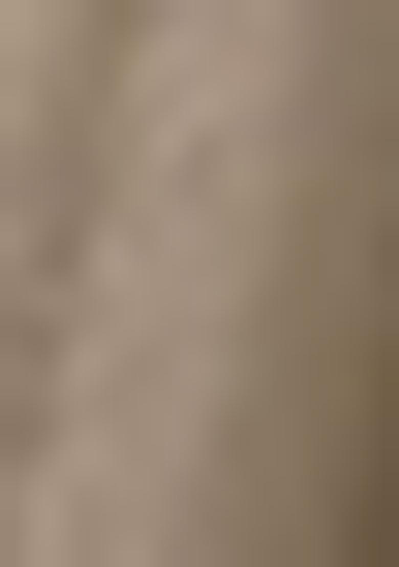 Brown Embroidered Tissue Silk Sarees