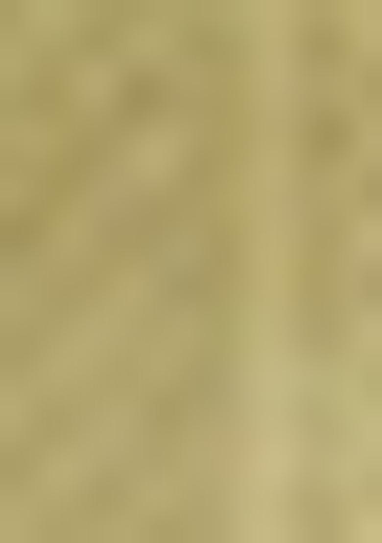 Green Printed Tissue Silk Sarees