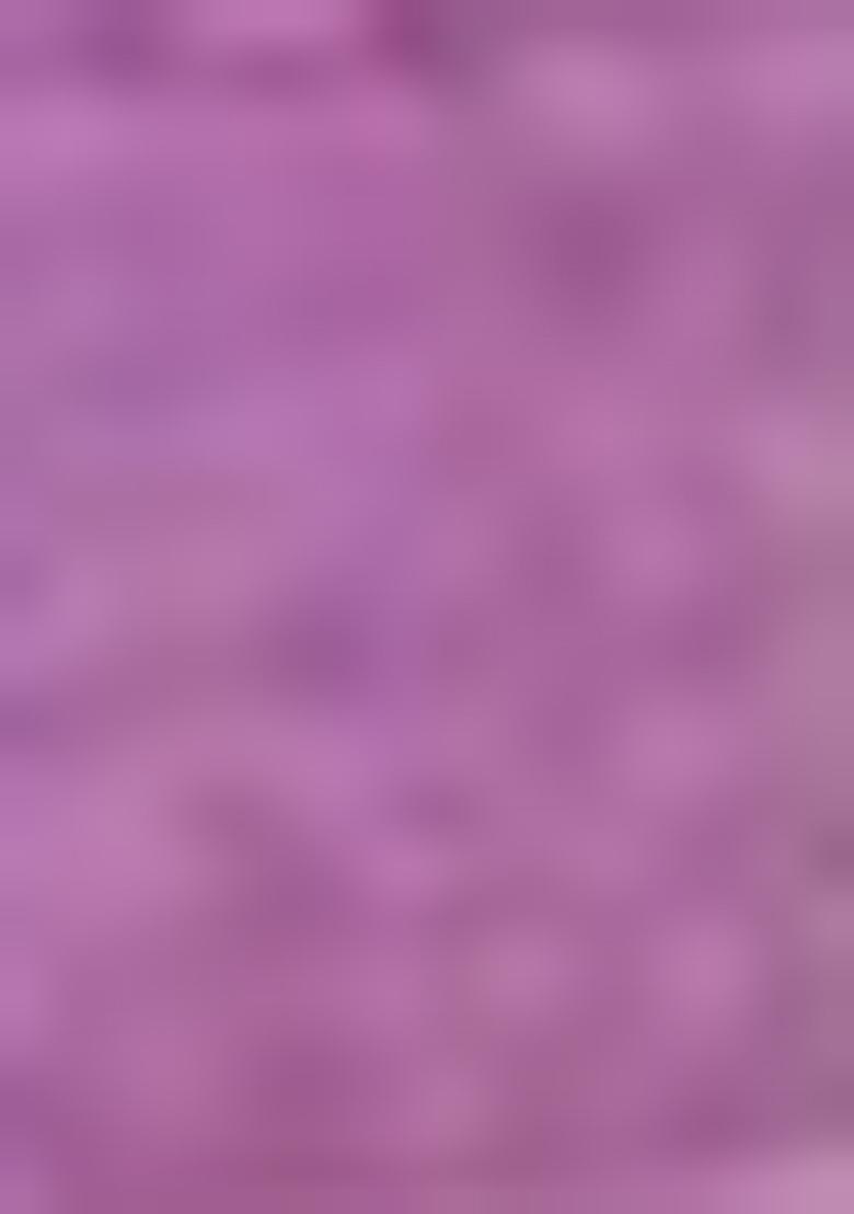 Lavender Printed Banarasi Silk  Sarees