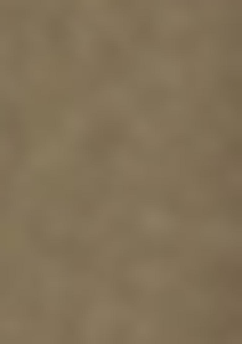 Orange Digital Print Pashmina Sarees