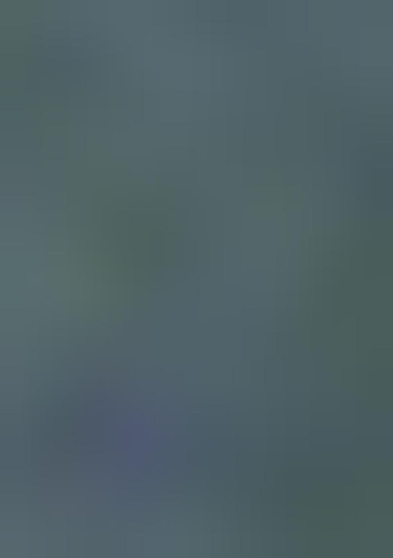 Multicolour Digital Print Pashmina Sarees