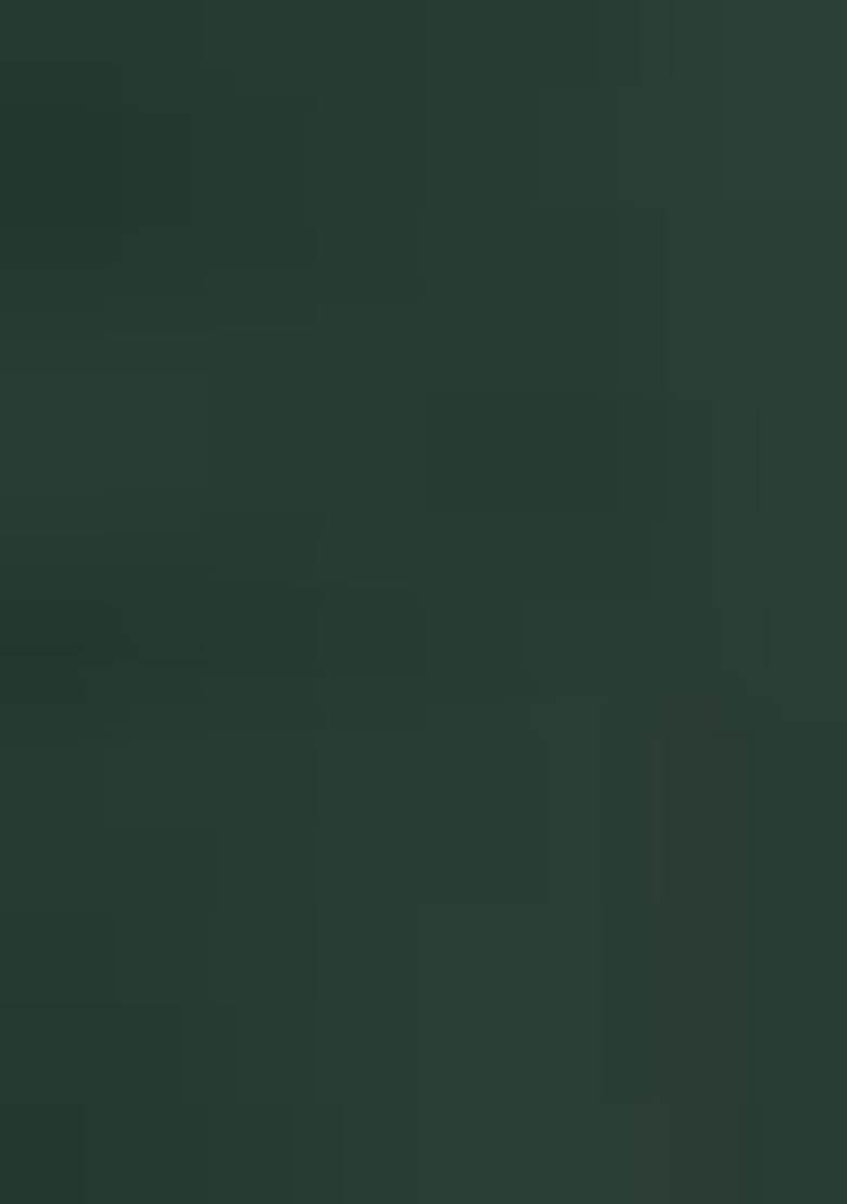 Green Zari Weaving Satin Sarees