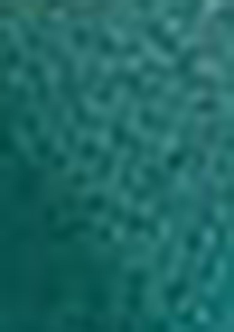 Sky Blue Zari Weaving Silk Sarees