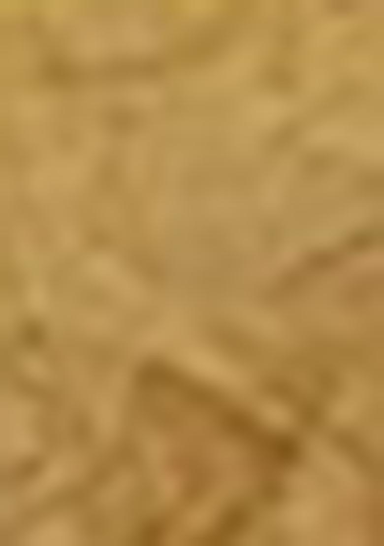 Yellow Embroidered Silk Sarees