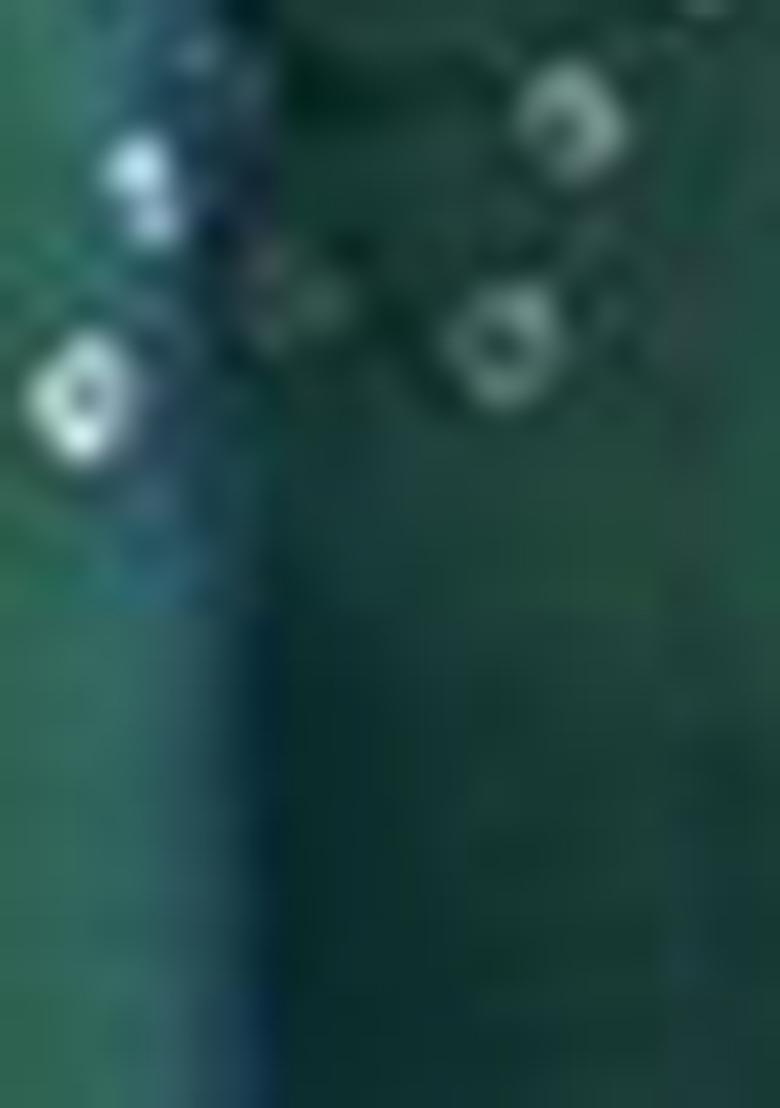 Green Bandhani Print Silk Sarees