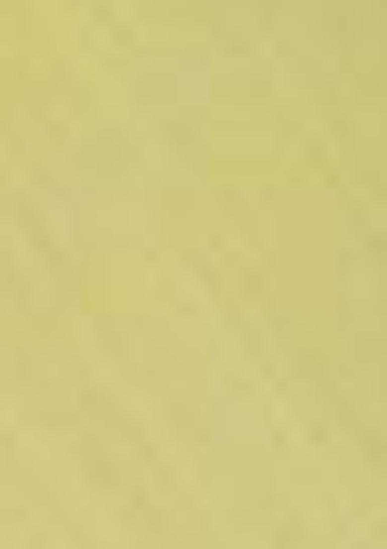 Yellow Digital Print Linen Sarees