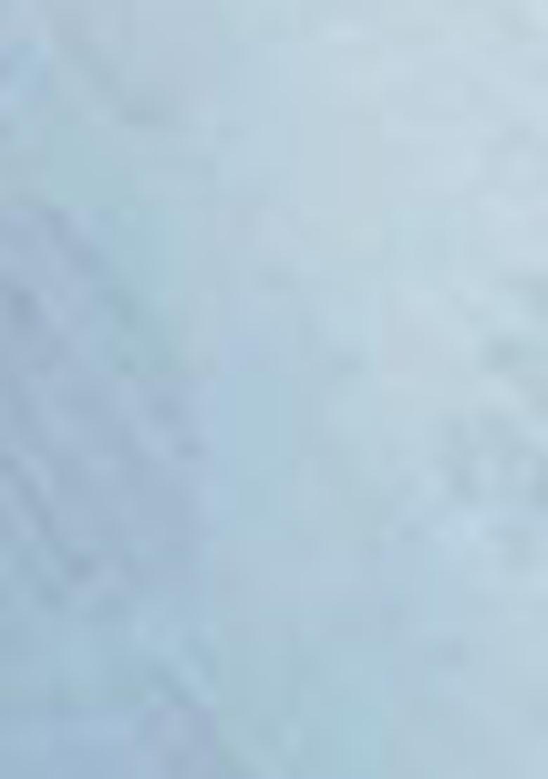 Sky Blue Digital Print Linen Sarees