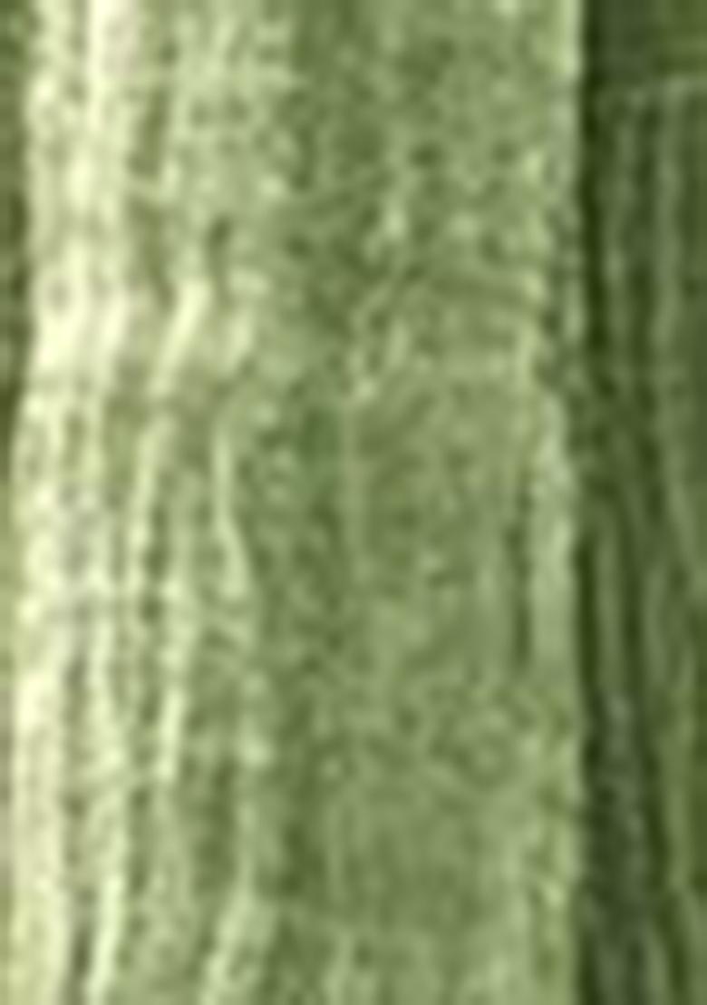 Green Embroidered Tissue Silk Sarees