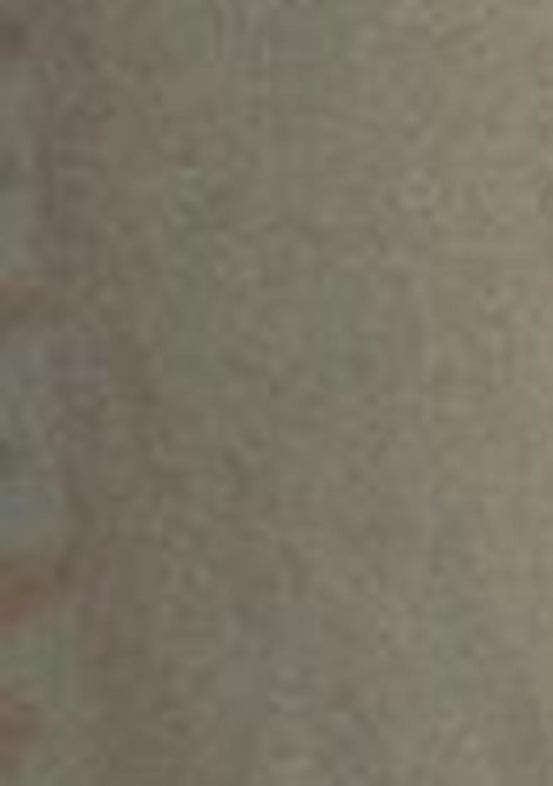 Beige Embroidered Tissue Silk Sarees