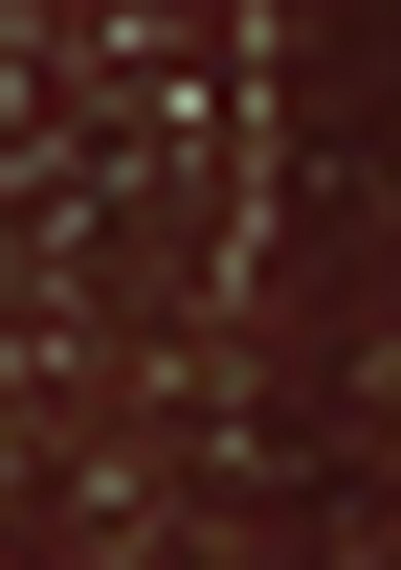 Purple Sequin Embroidered Georgette Saree Set