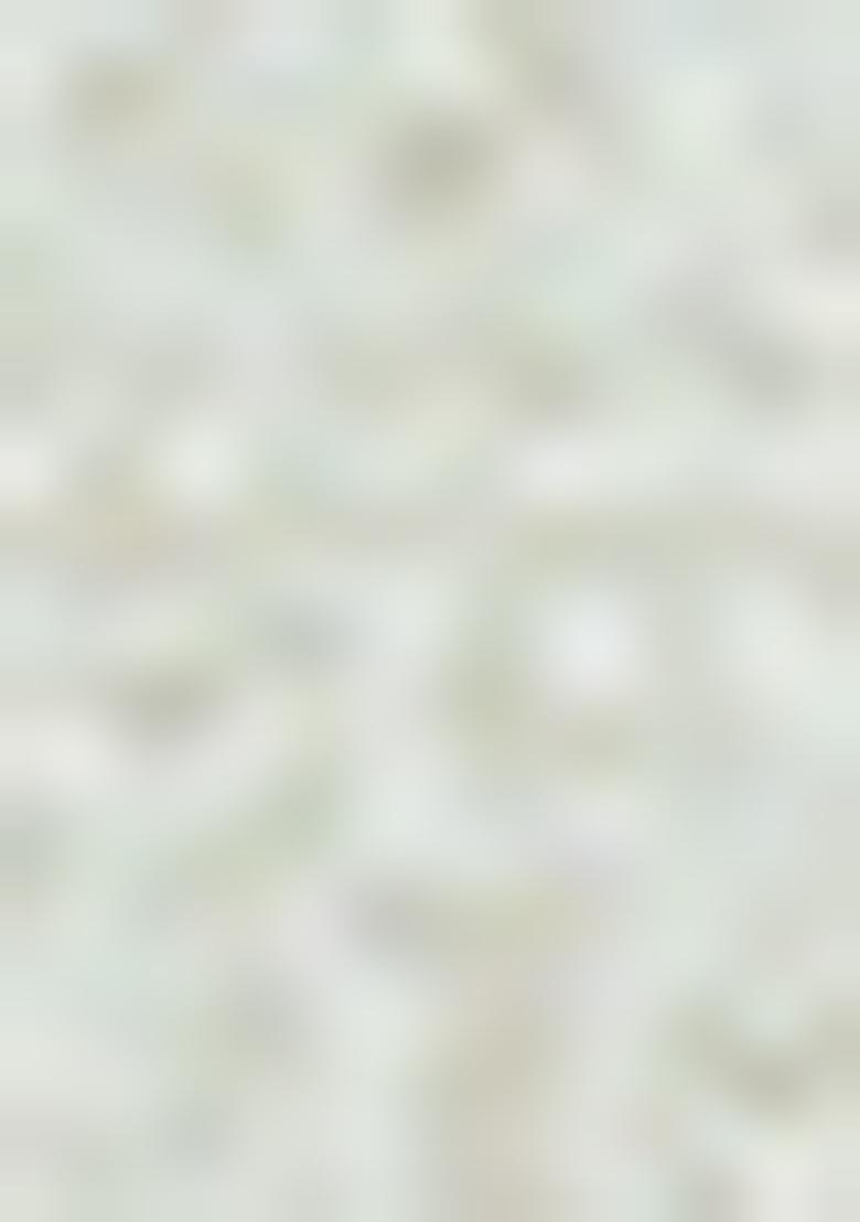 Mustard Sequin Embroidered Georgette Saree Set