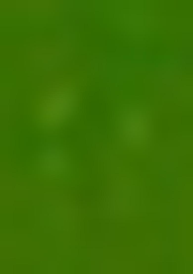 Purple Sequin Embroidered Georgette Saree Set