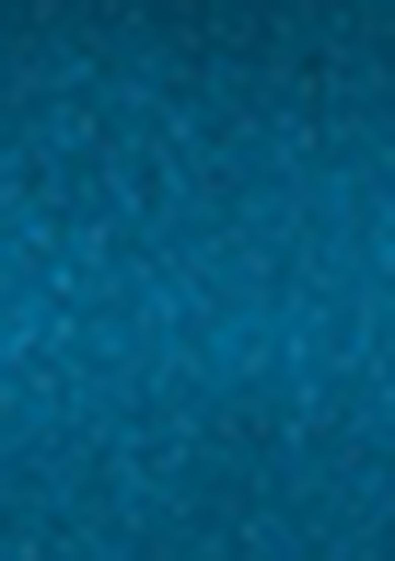 Green Sequin Embroidered Georgette Saree Set