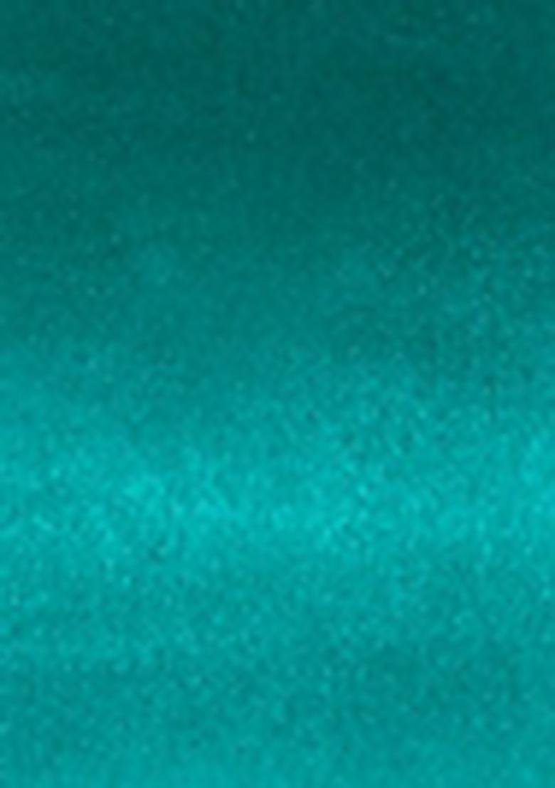 Blue Sequin Embroidered Georgette Saree Set