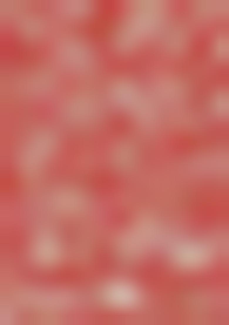 Pink Sequin Embroidered Georgette Saree Set