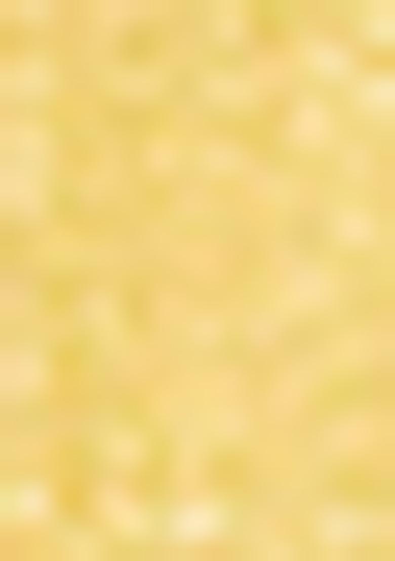 Yellow Sequin Embroidered Georgette Saree Set