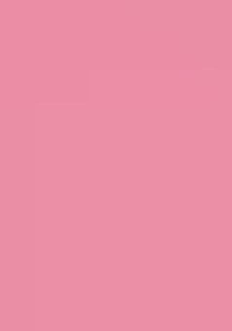 Multicolor Embroidered Chinon Saree Set