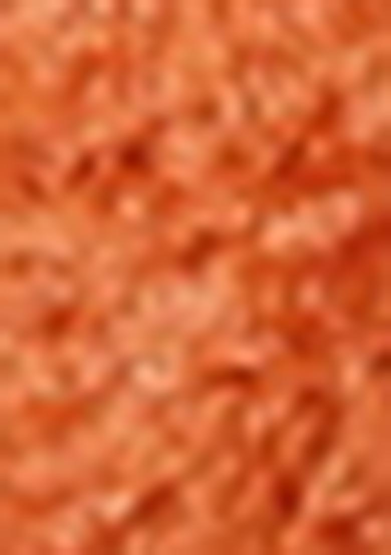 Orange Embroidered Chinon Saree Set