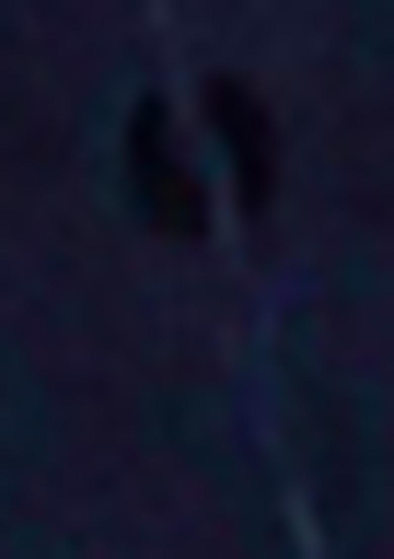 Brown Embroidered Georgette Saree Set