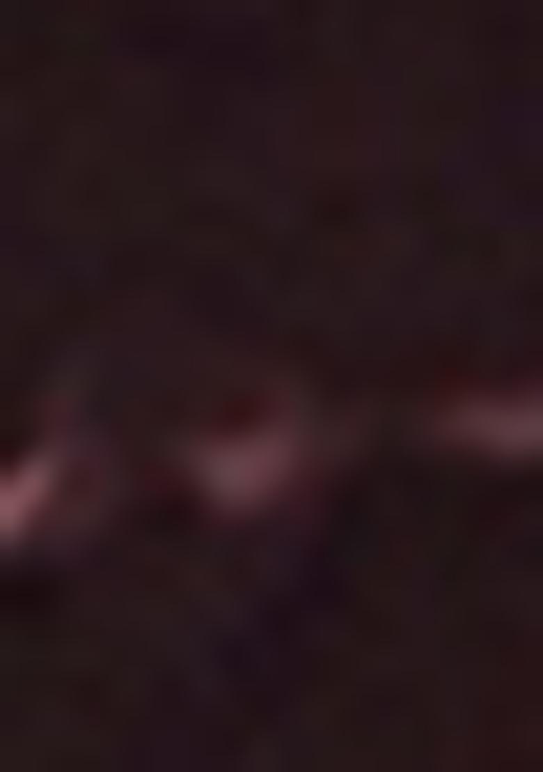 Blue Embroidered Georgette Saree Set