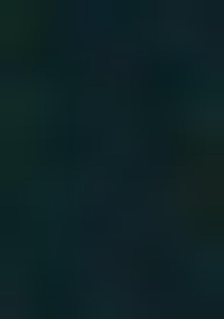 Maroon Embroidered Georgette Saree Set