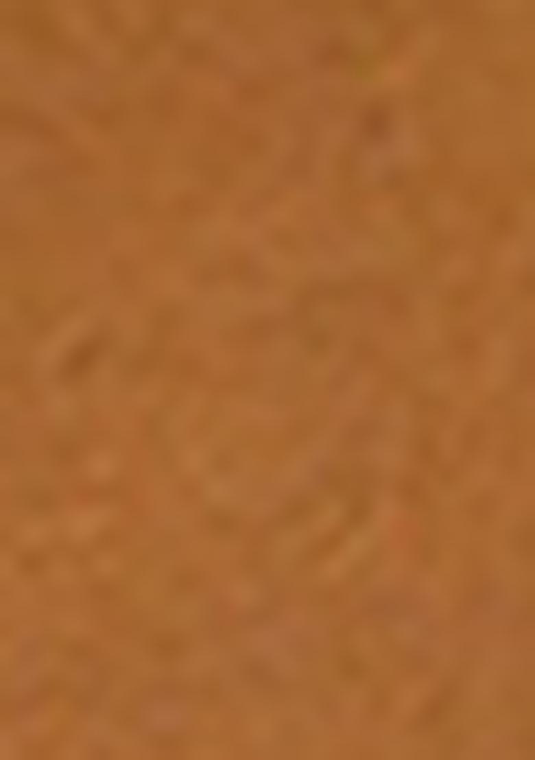 Multicolor Embroidered Georgette Saree Set