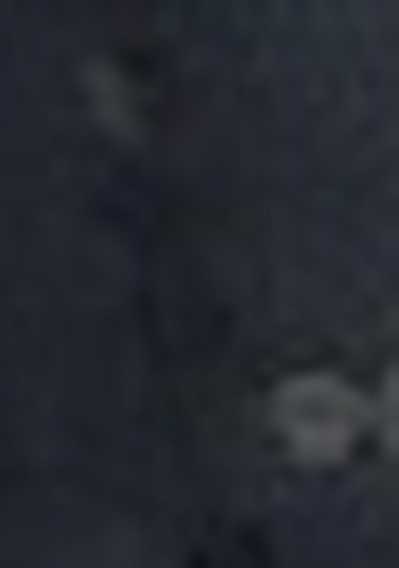 Black Embroidered Georgette Saree Set