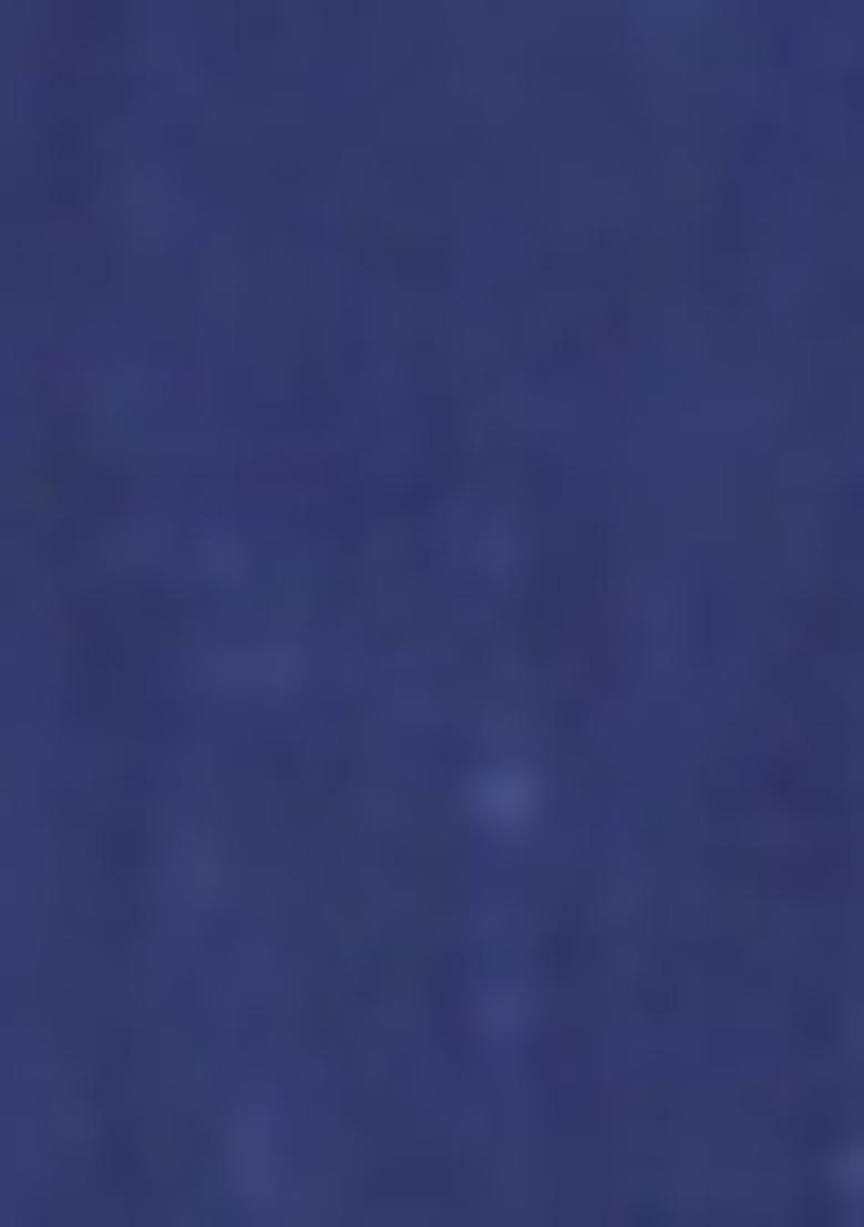 Blue Embroidered Georgette Saree Set