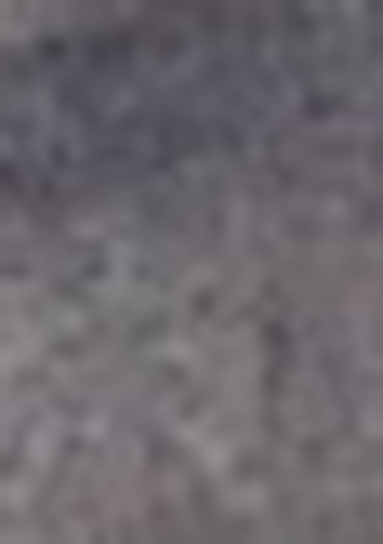 Brown Embroidered Georgette Saree Set