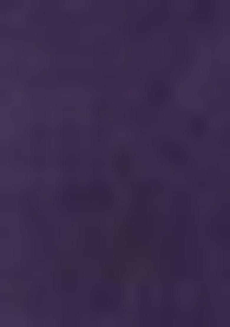 Wine Embroidered Georgette Saree Set