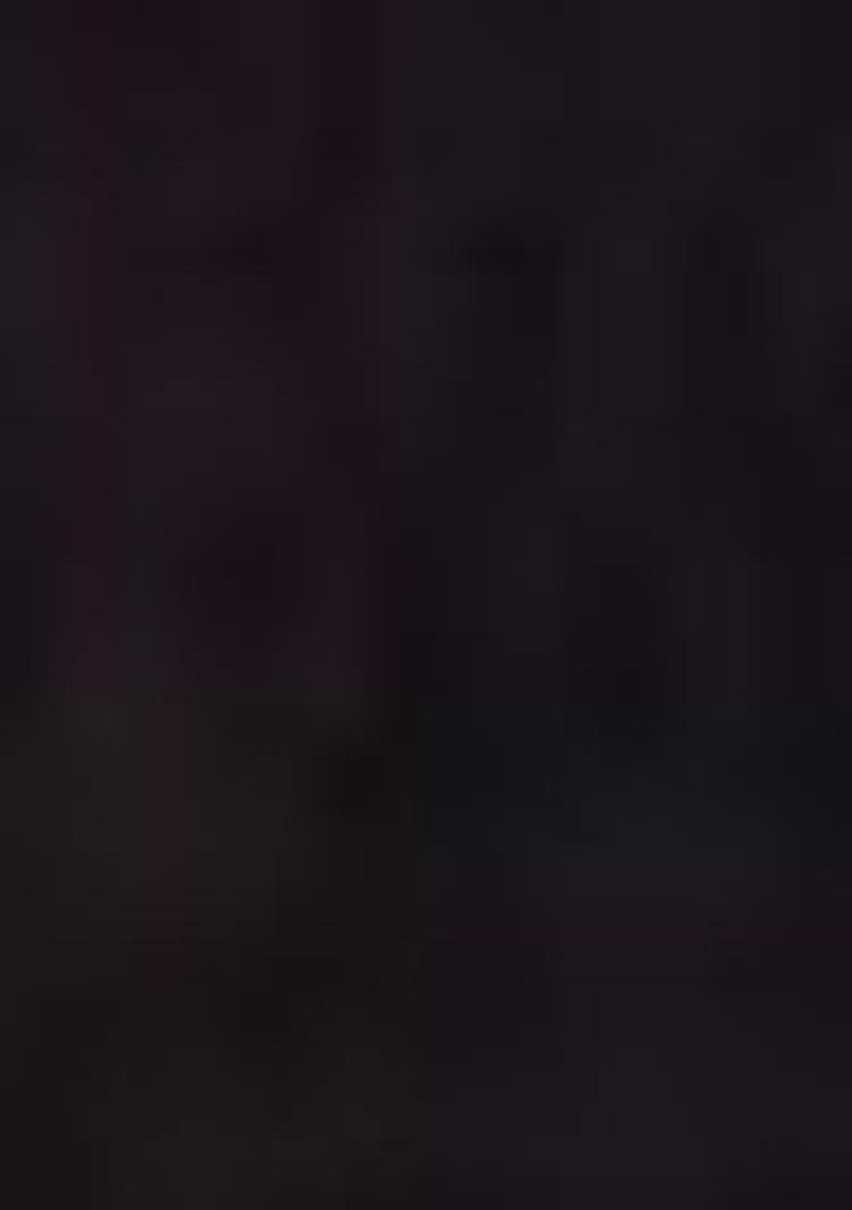 Brown Embroidered Georgette Saree Set