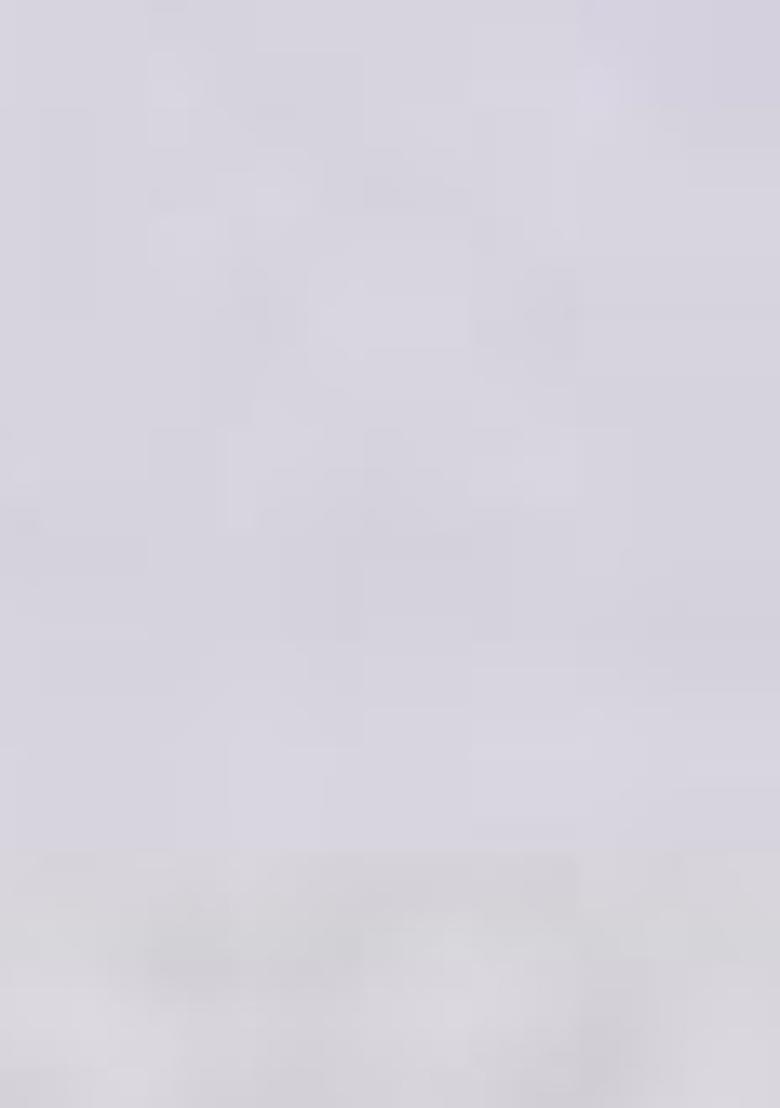 Grey Embroidered Georgette Saree Set