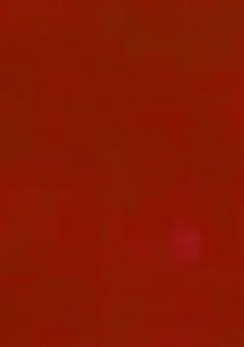 Maroon Embroidered Georgette Saree Set